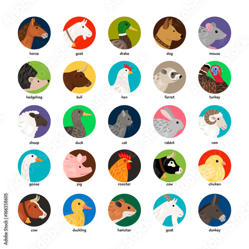 Large set of different avatars with farm animals