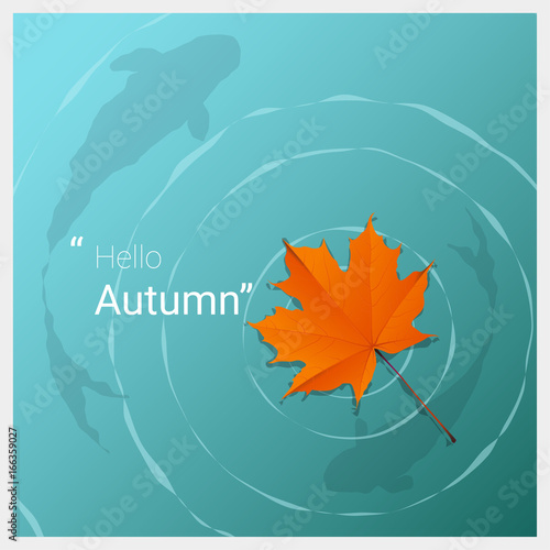Hello autumn background with maple leaf floating on the water , vector , illustration