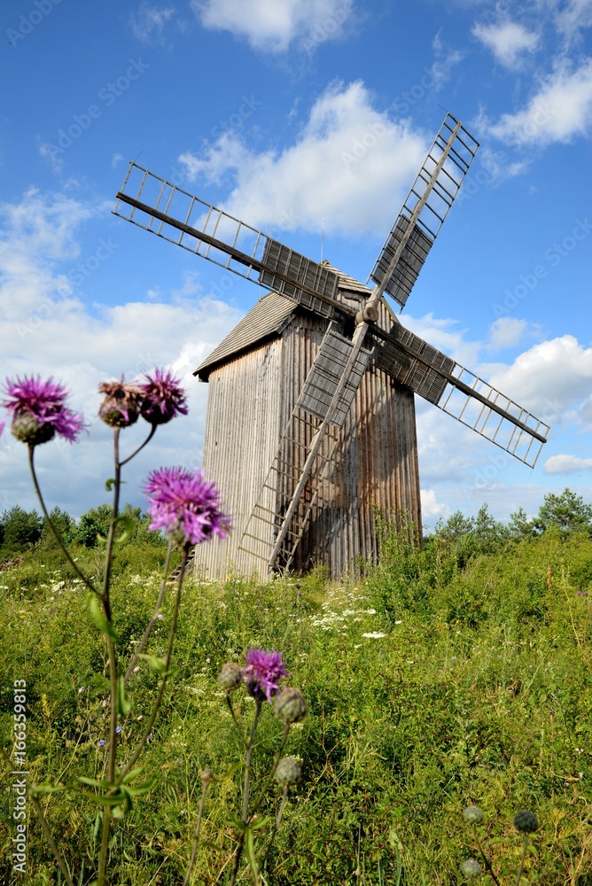 Old grain mill and meadow plants and sky