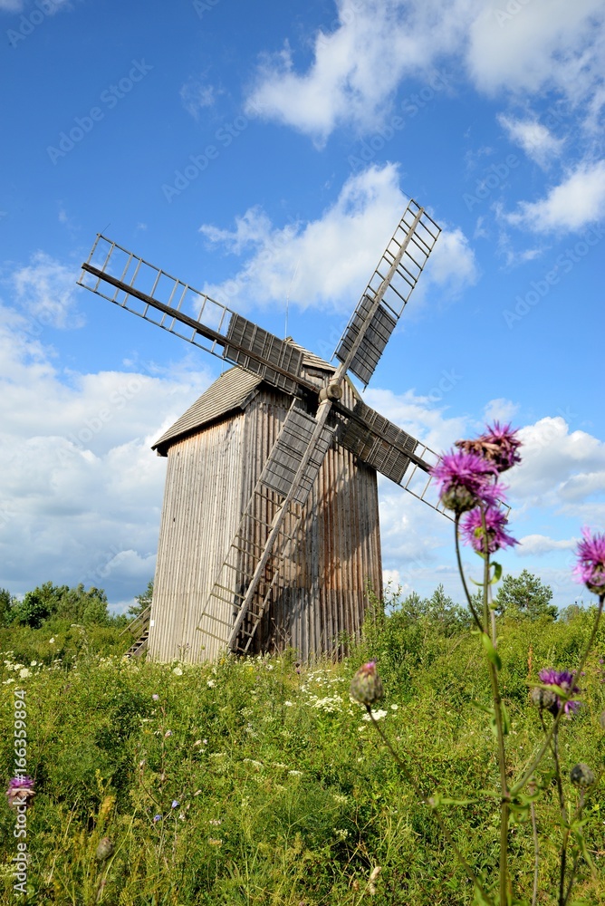 Old grain mill and meadow plants and sky