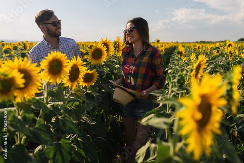 Fotografie, Obraz Couple laughing and enjoying a stroll through the sunflower fields