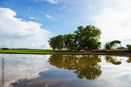 Obraz na płótnie beautiful landscape water mirror reflection at chiangrai Thailand
