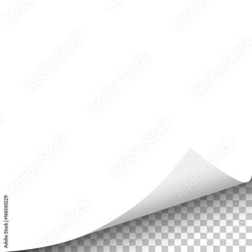 Vector white sheet of paper with curled lower right corner and transparent background - template paper design.