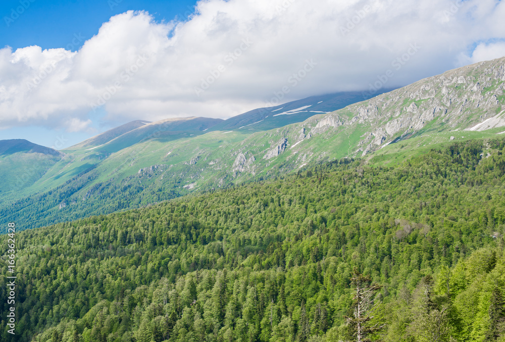 Obraz premium The mountains and forest under a cloudy sky.