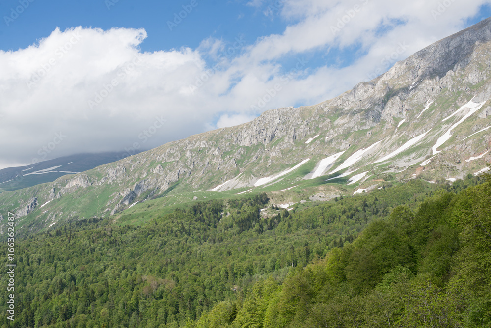Obraz premium The mountains and forest under a cloudy sky.
