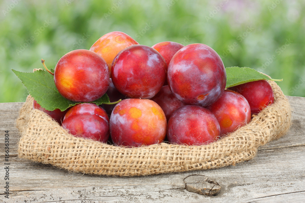 plum on old wooden table with green background plum on old wooden table with green background