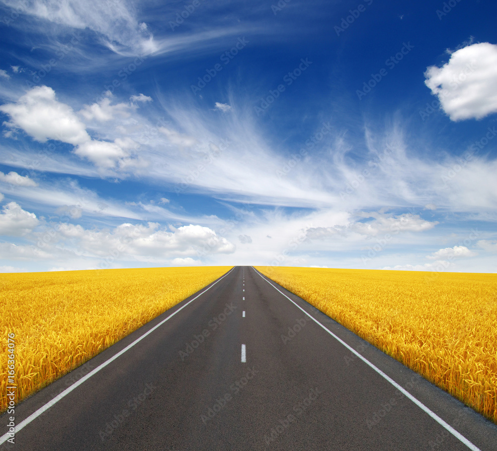 Naklejka premium Asphalt car road