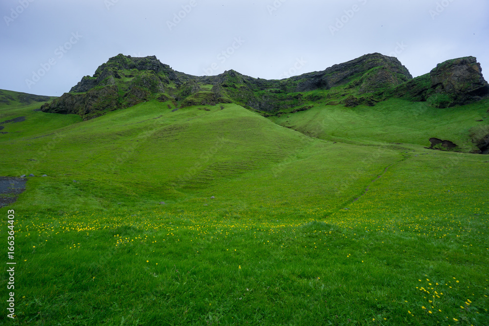 Iceland - Green meadow and mountainous landscape