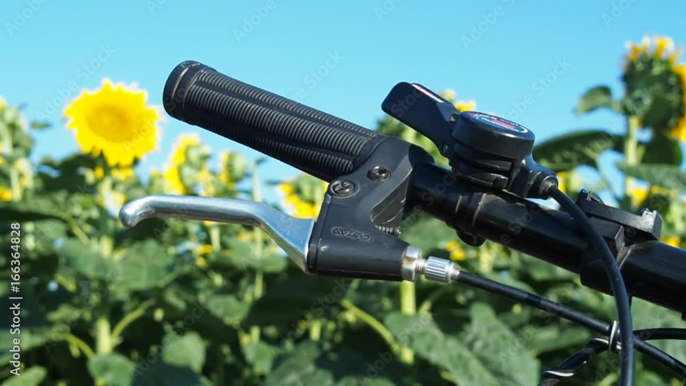 Bicycling in nature. Steering wheel bike against the background of sunflowers. Bicycling in nature. Steering wheel bike against the background of sunflowers.