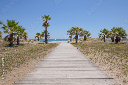 wooden walkway in nature  over green grass meadow with palms  blue clear sky  towards Mediterranean Sea  Beach of Grao  in Castellon  Valencia  Spain  Europe  