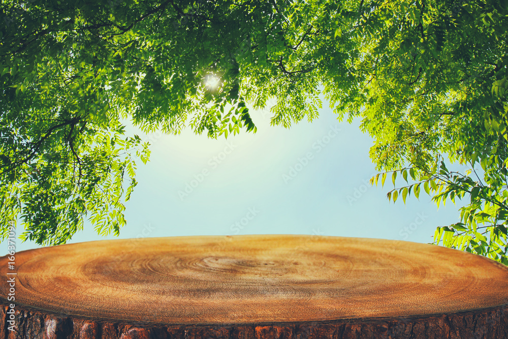 image of wooden table in front green forest trees landscape background ...
