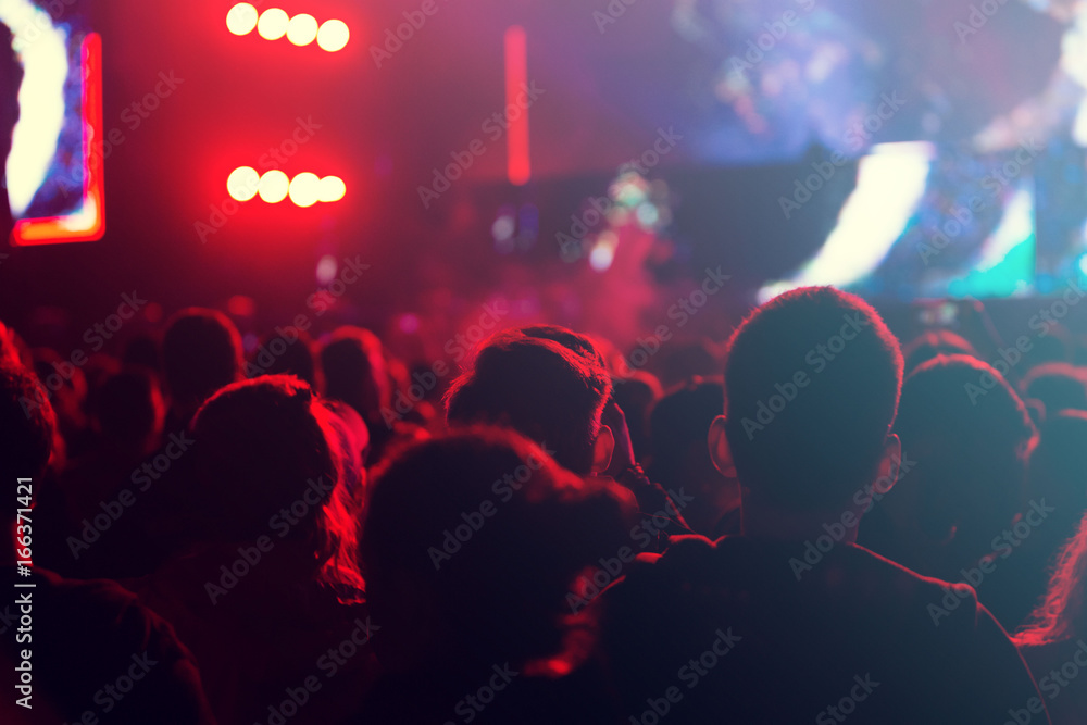 Crowd at music festival 