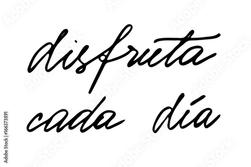 Phrase in Spanish Enjoy every day. Handwritten black text isolated on white background, vector. Each word is on the separate layer