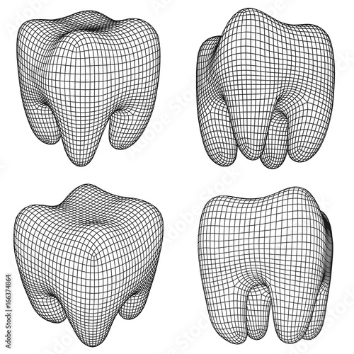 Tooth Wireframe Mesh Set. Connection Structure Vector Illustration. Dental medicine, health concept.