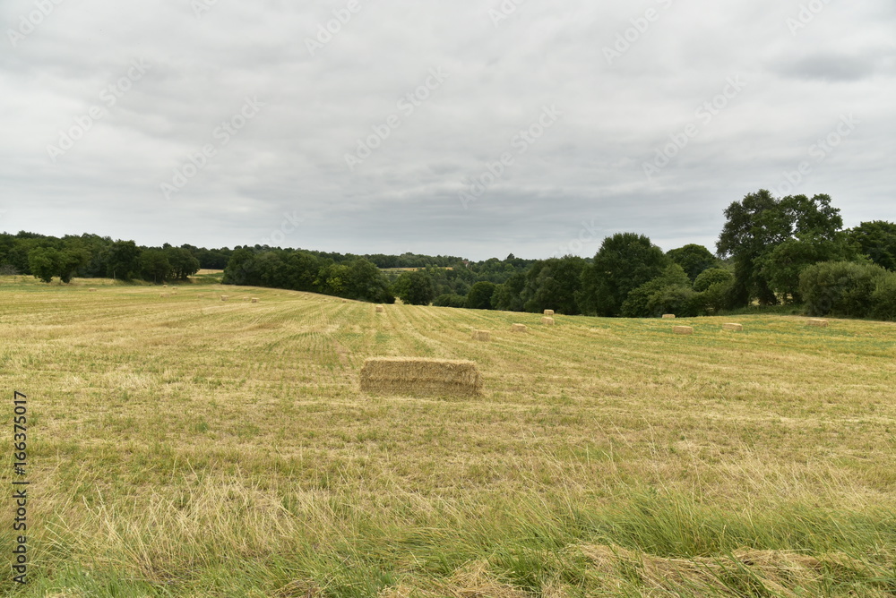 Ballot de foin sur un vaste champ sous un ciel gris au Périgord Vert Ballot de foin sur un vaste champ sous un ciel gris au Périgord Vert