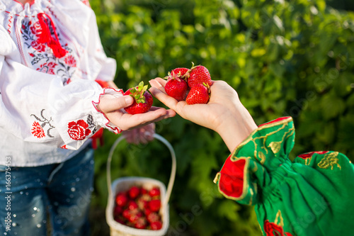 Closeup of woman's hands holding basket with organic garden summer strawberry berries. Healthy lifestyle and healthy eating.Fruit and berries. photo