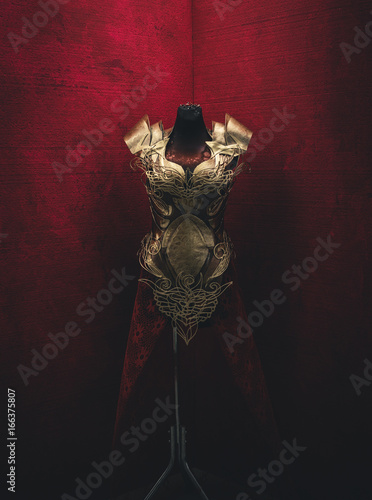 Fotografie, Tablou Medieval, Golden armor for women