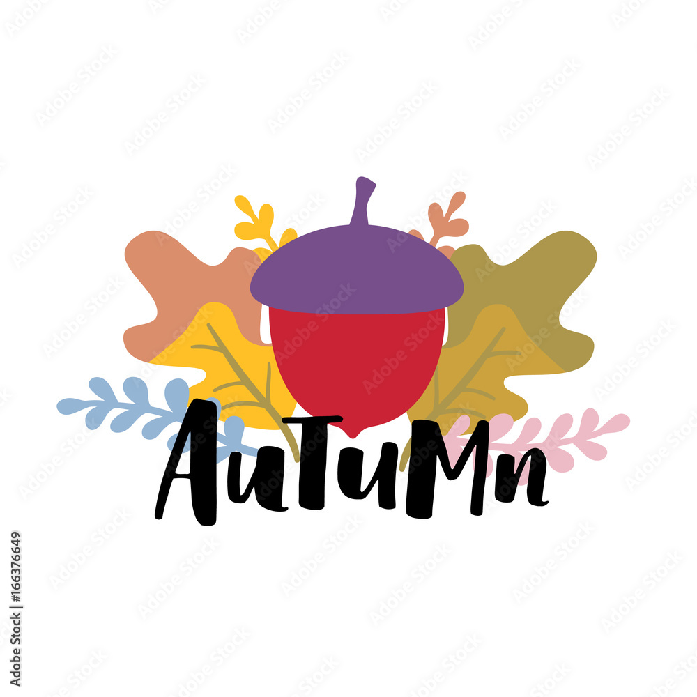 Fotografie Vector illustration with hand lettering autumn