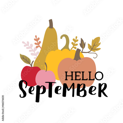 Vector autumn illustration with hand lettering hello september. Trendy color palette and black ink phrase on white isolated background. Pumpkins, apples and leaves collection.