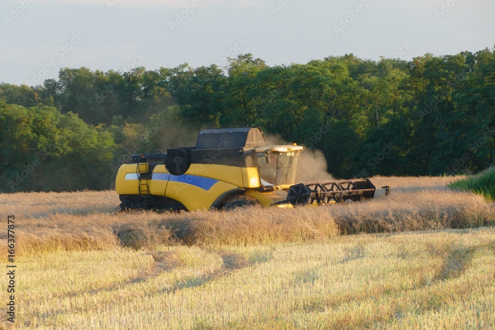 Obraz premium Harvester