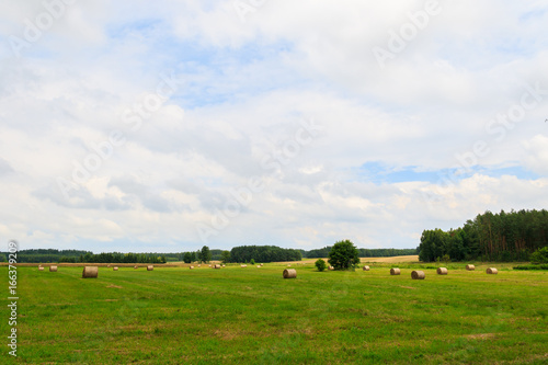 Countryside landscape with hay bales on harvested grain field