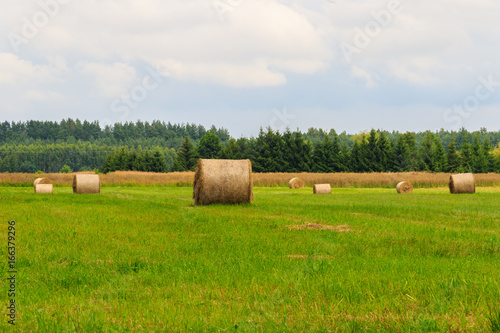Countryside landscape with hay bales on harvested grain field
