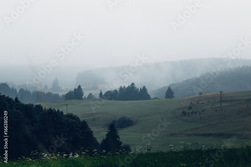 Nebel Landschaft Wiese Berg und T  ler