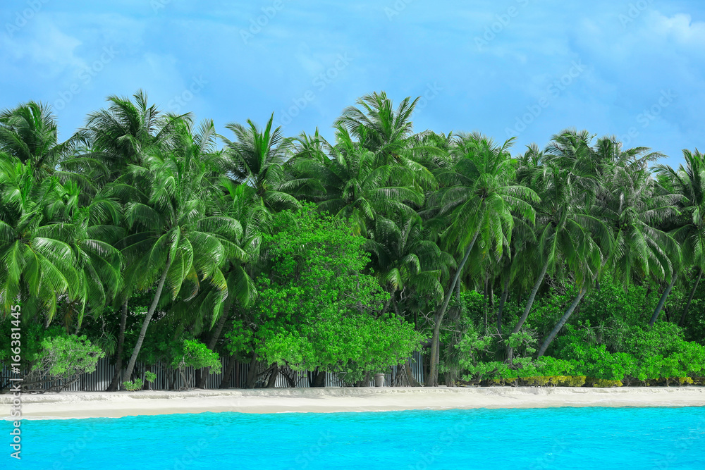 Obraz premium Tropical island paradise with white sand beach, turquoise ocean water, and lush green palm trees under blue sky
