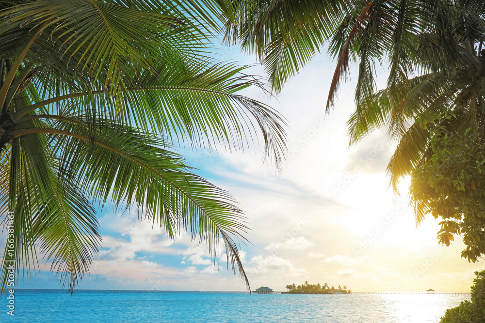 Palms and beautiful blue sea at resort