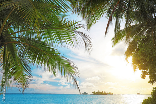 Palms and beautiful blue sea at resort