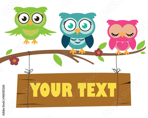 Set of cute owls sitting on a branch or flying above. A sign is hanging tied the the brach, where text is to be altered to preferance. photo