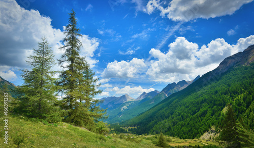 Fototapeta Naklejka Na Ścianę i Meble -  Summer Alps