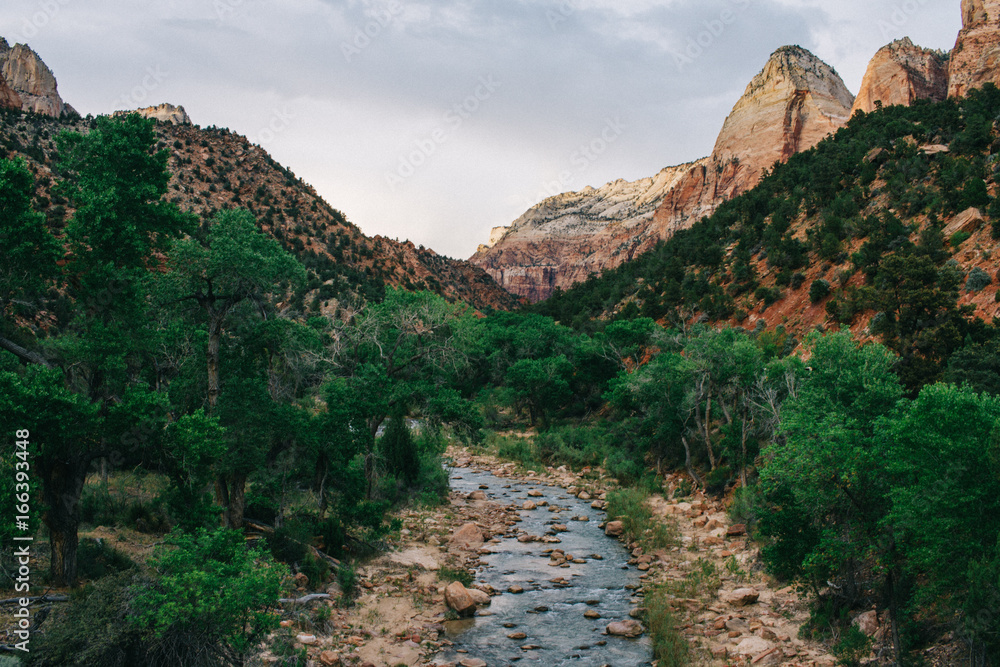 river running through valley in zion national park river running through valley in zion national park