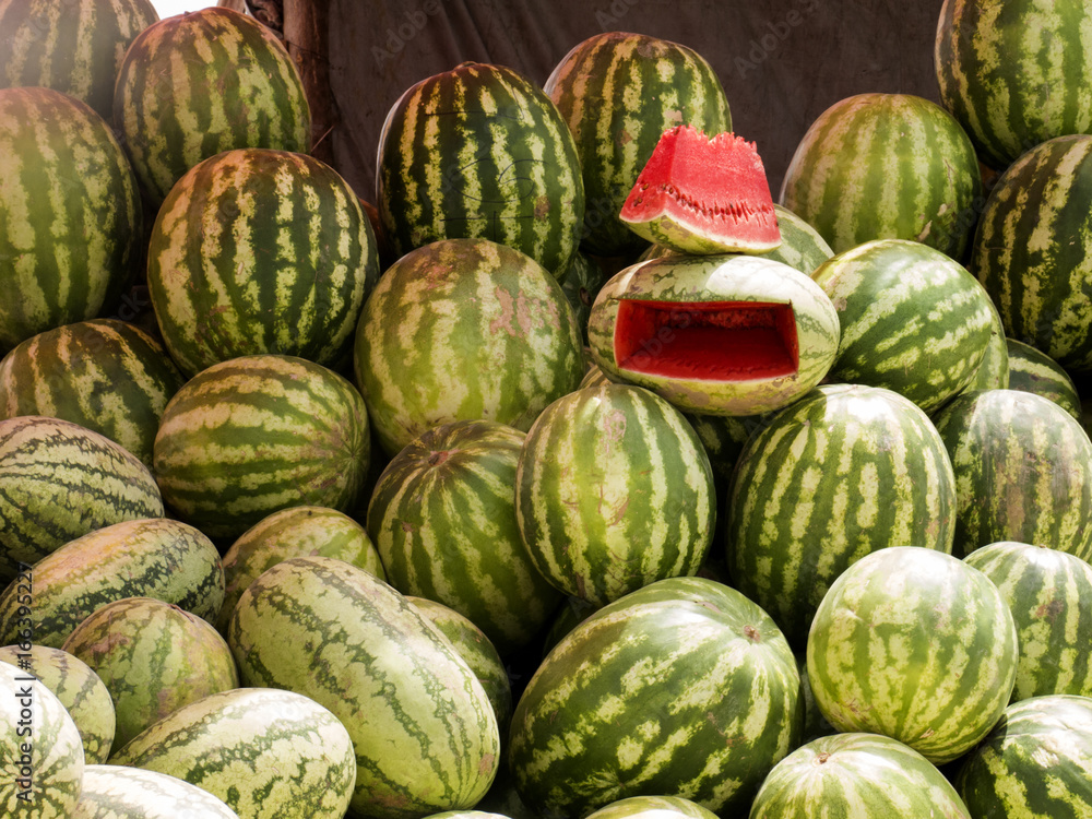 watermelon watermelon