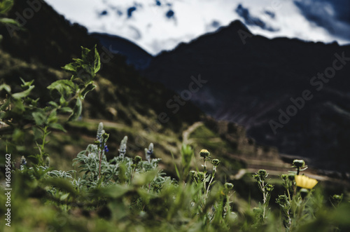 View from the top of the mountain of Pisaq photo