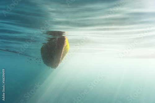 Biofouling on a hull of a ship seen from underwater