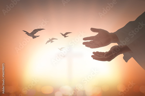 Obraz na plátně Ascension day concept: Silhouette human open two empty hands with palms up and birds flying over blurred cross in church background
