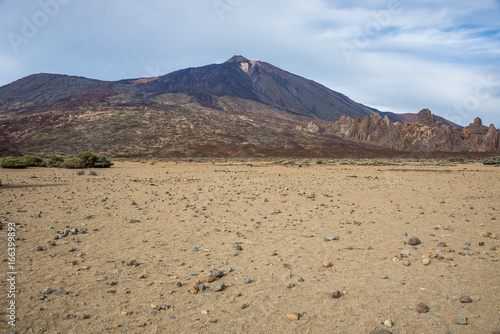 Teide National Park  Tenerife  Canary Islands  Spain 