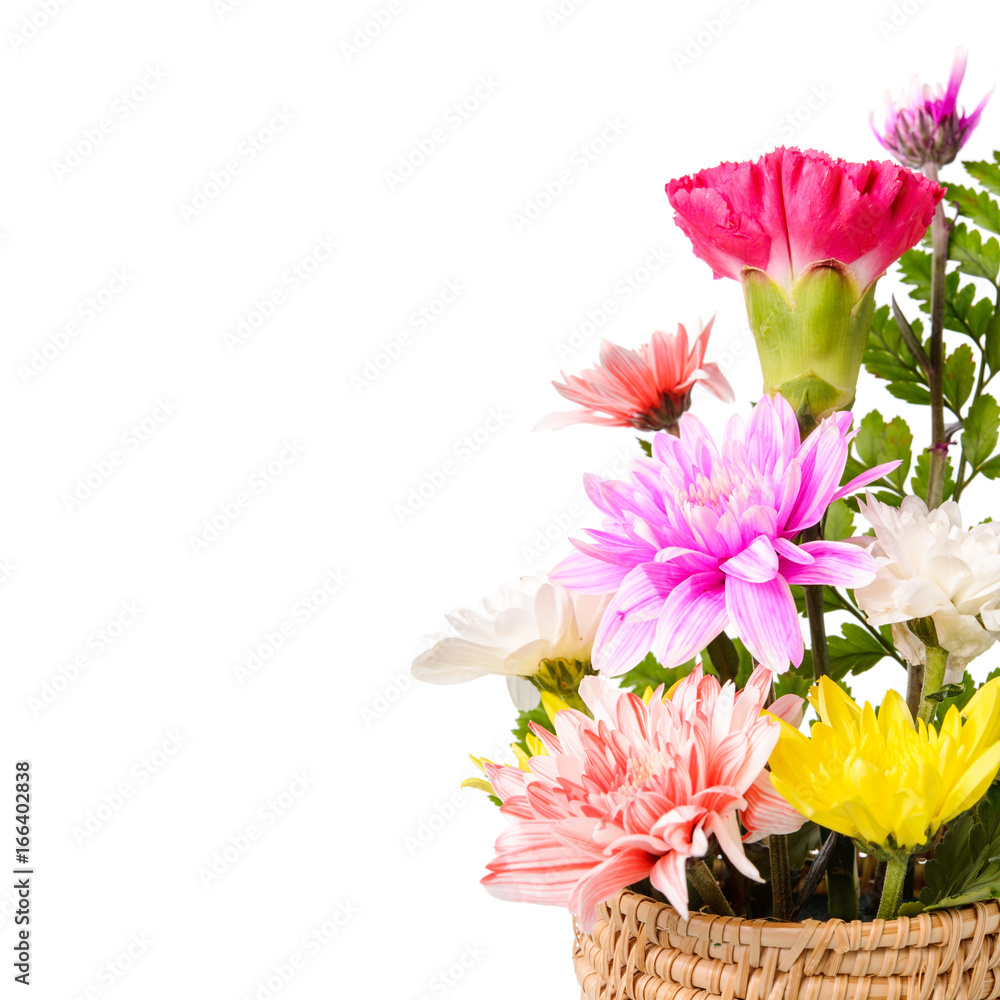 Flowers in wood basket., Isolated on a white background with copy space.