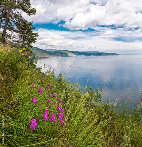 Forget-me-nots flowers in the background of Lake Baikal