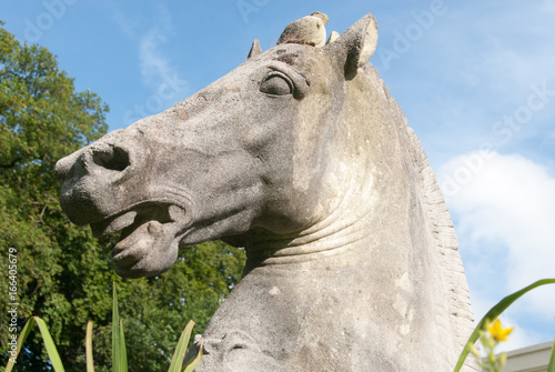 Statue of Horse