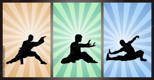 Chinese Kung Fu, Wushu, Martial Arts, Chinese Boxing