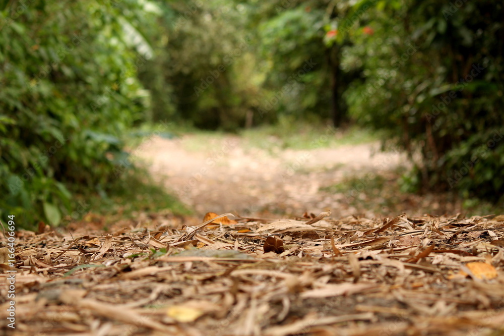 low road low road