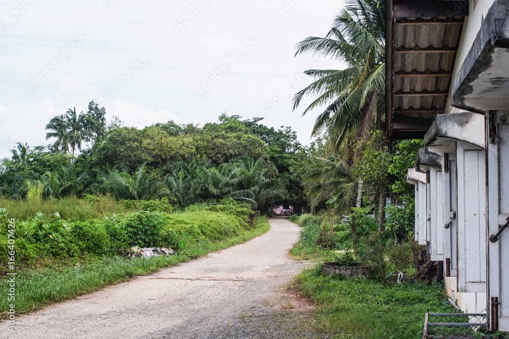Obraz premium rural landscape in Thailand