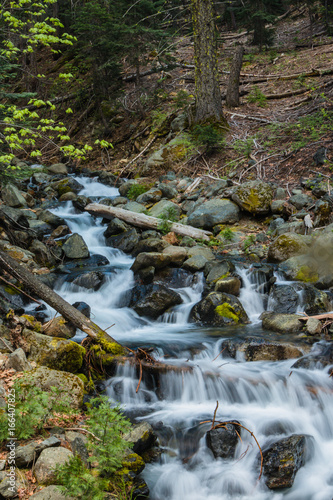 Northern Sierra Creek