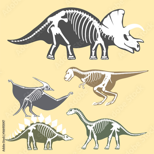 Dinosaurs skeletons silhouettes set fossil bone tyrannosaurus prehistoric animal dino bone vector flat illustration.