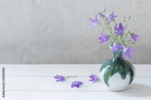 Fototapeta Naklejka Na Ścianę i Meble -  bluebell in wase on white background