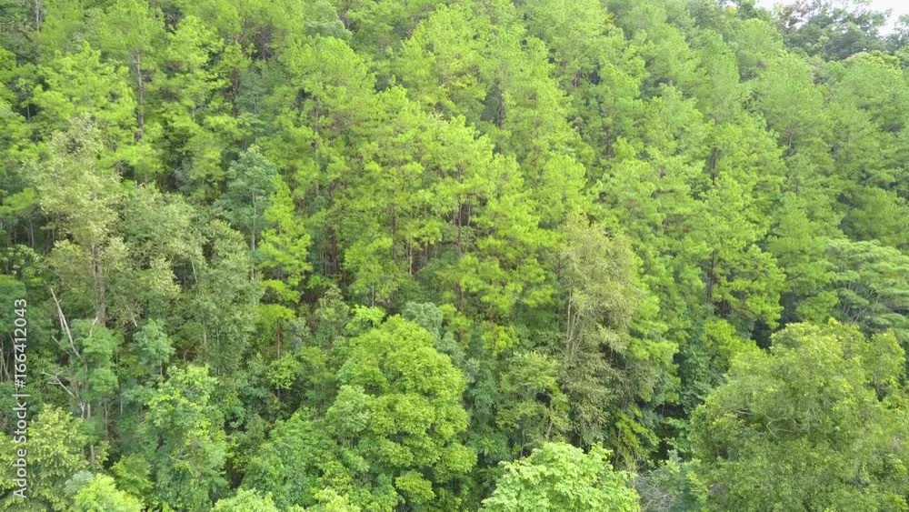 Aerial shot with a drone of a tropical rain forest in Thailand Aerial shot with a drone of a tropical rain forest in Thailand
