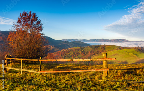 countryside area at foggy morning in autumn