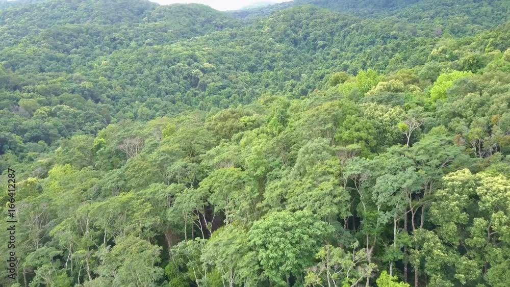 Aerial shot with a drone of a tropical rain forest in Thailand Aerial shot with a drone of a tropical rain forest in Thailand